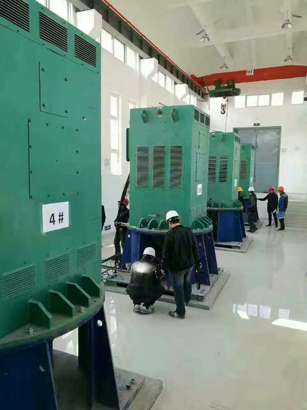 洛川某污水处理厂使用我厂的立式高压电机安装现场
